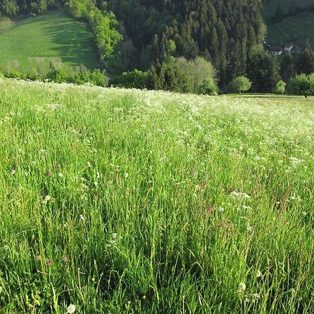 Hinterkimmighof Apartment Oberharmersbach Luaran gambar