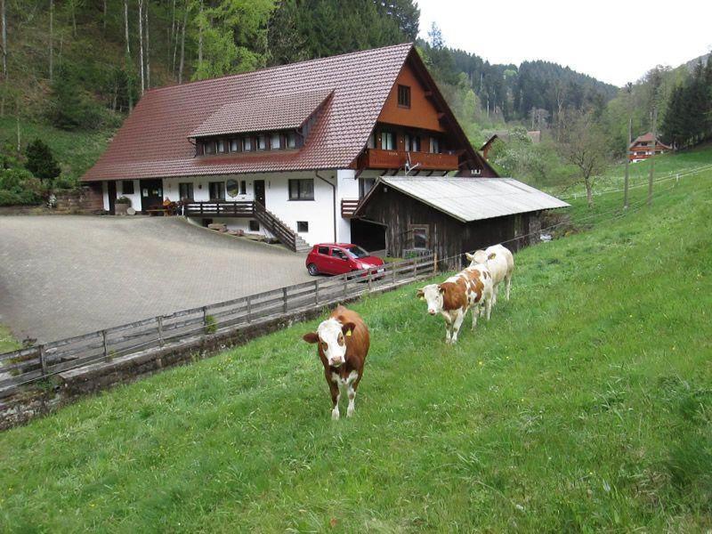 Hinterkimmighof Apartment Oberharmersbach Luaran gambar