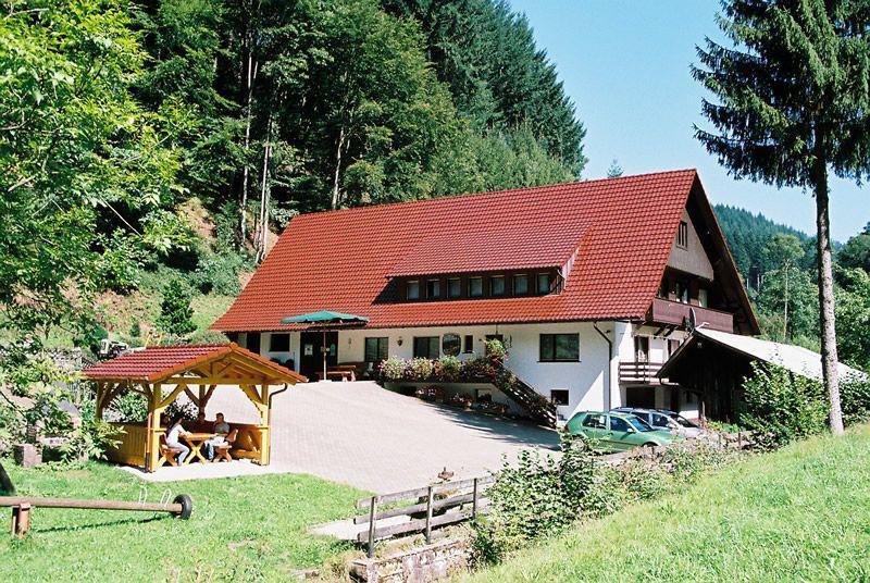 Hinterkimmighof Apartment Oberharmersbach Luaran gambar